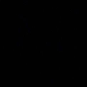 Meet your Posher, Kathleen